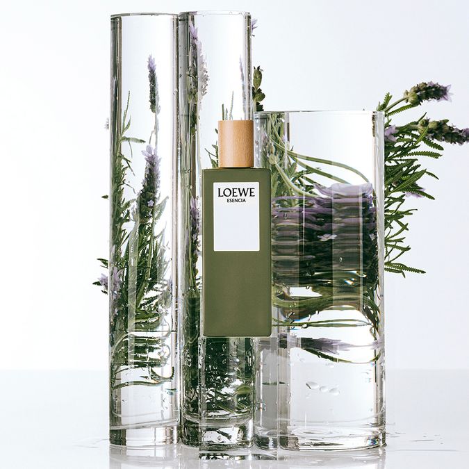 Loewe Esencia Eau de Toilette - Perfume Masculino 100ml - neeche