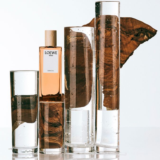 Loewe Solo Cedro Eau de Toilette - Perfume Masculino 100ml - neeche