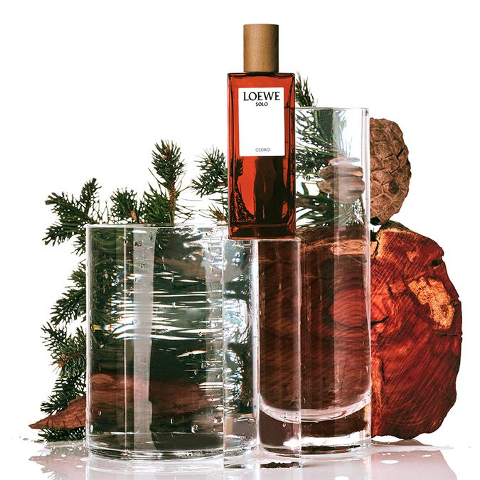 Loewe Solo Cedro Eau De Toilette - Perfume Masculino 50ml - neeche