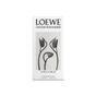 foto_loewe_un_paseo_por_madrid_bella_cibeles_eau_de_parfum_perfume_unissex_100ml_nc-11354_02.jpg