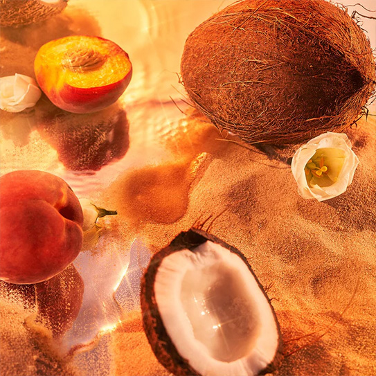 Desktop Banner Colecao 1