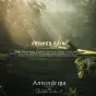 Vetiver_Rain_mood_image