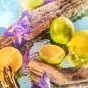 oceania-fragrance-roja-parfums-633283