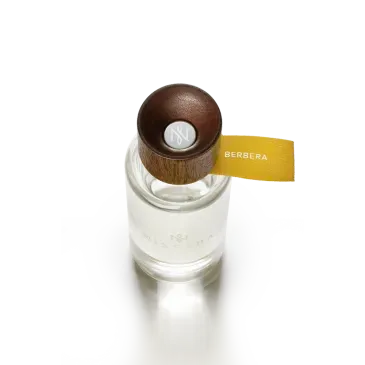 Berbera_plongee_carree