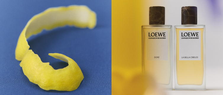 Banner 1 Un Passeo Desk