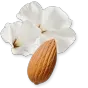 VALAYA_EXCLU-PERFUME-75-PACK4-1x1_1_ce0b9234-6045-494e-aed0-8bac3c2e45b4