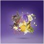 8054320904342-XERJOFF--PURPLEACCENTO-