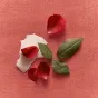 Nuwa_EDP_Ingredient