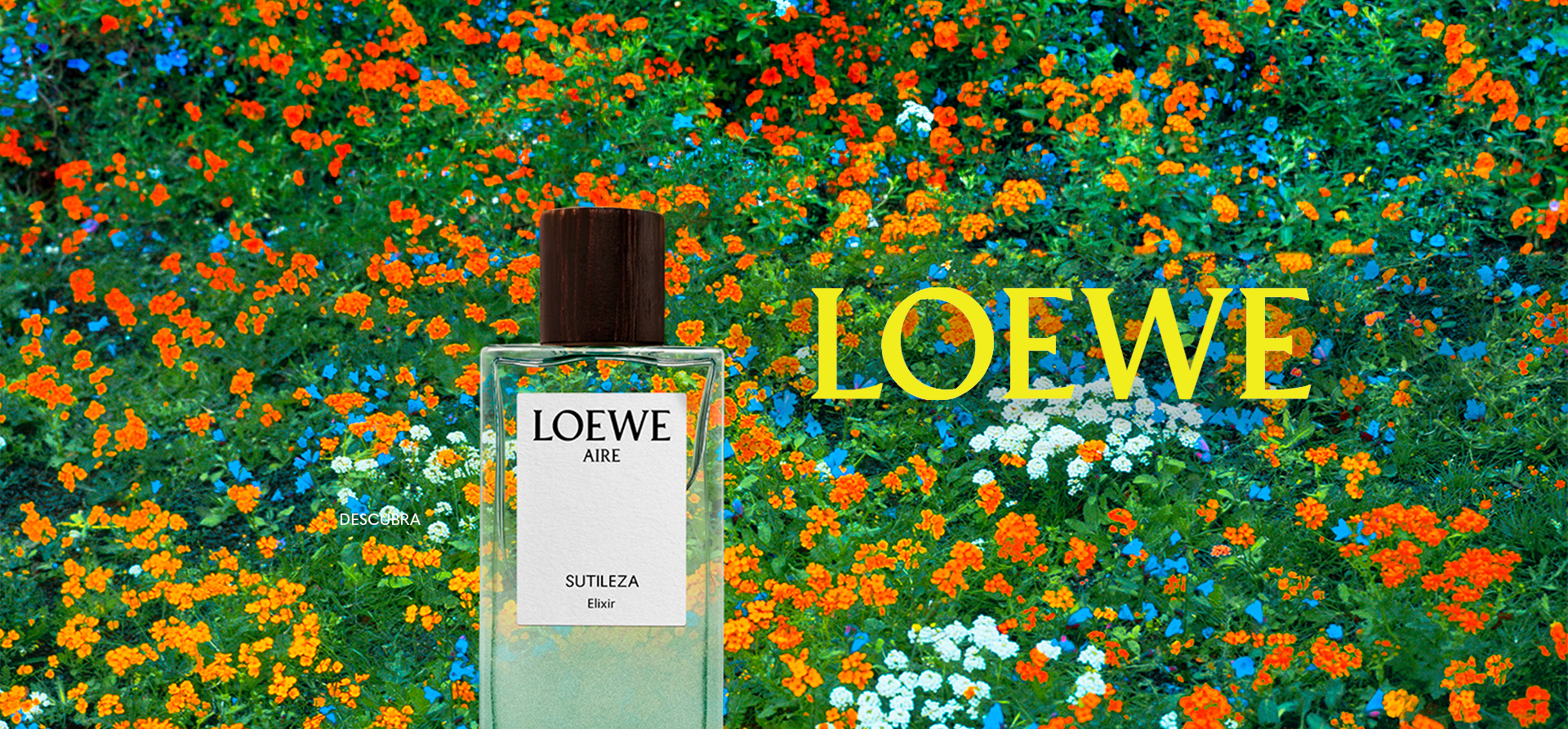 Loewe